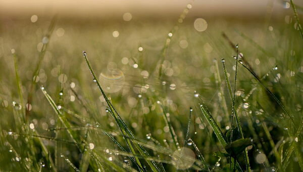 Achtsamkeitstag in Winterthur ᐅ Mit Olivia Perucchi • Meditationskurs • MBSR • MBCL • MBCT • MAPS ✓ Jetzt CFM Angebote entdecken.